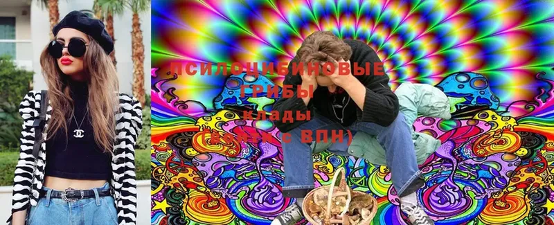 Псилоцибиновые грибы Magic Shrooms  Красногорск 